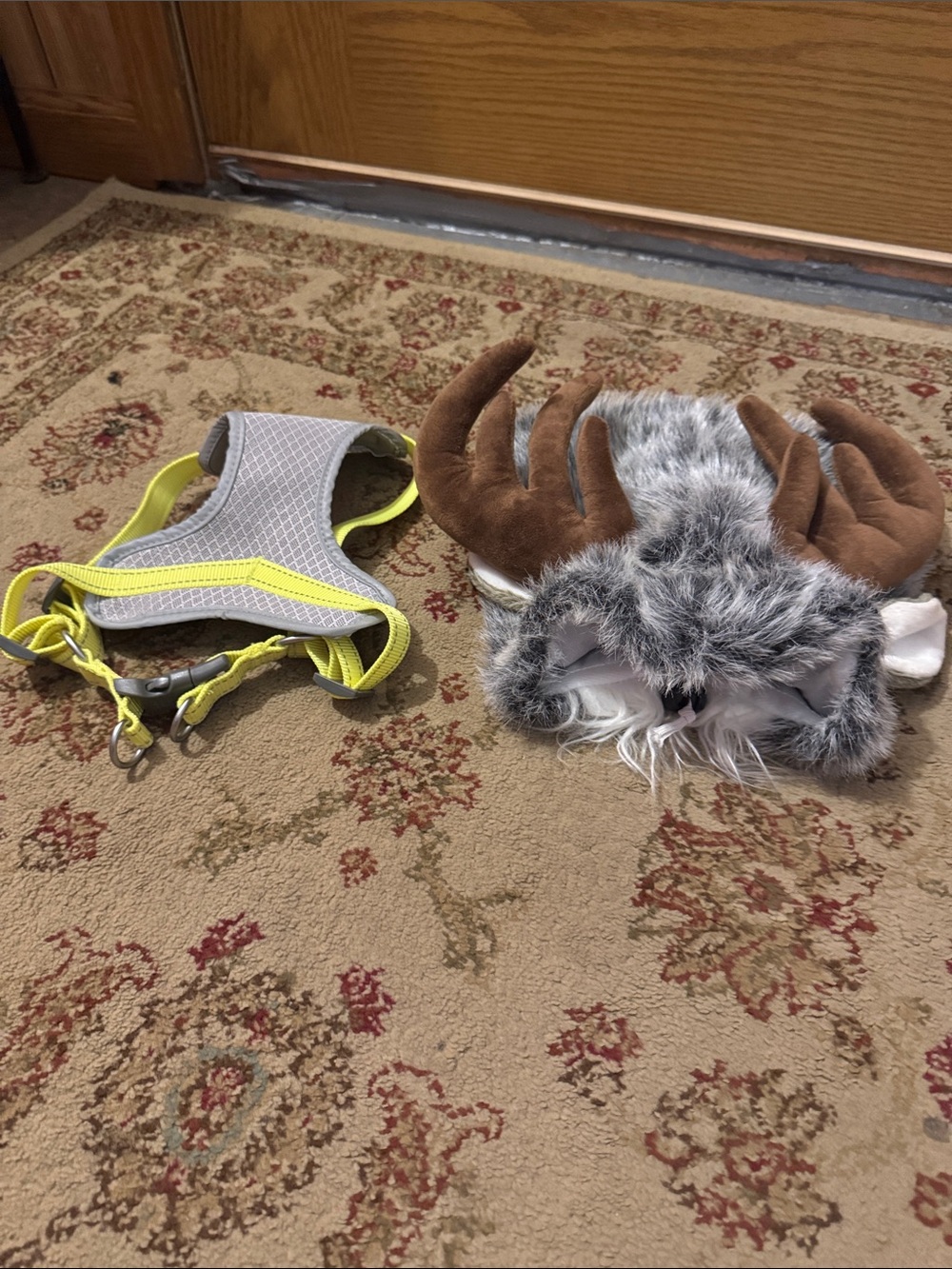 High-Visibility Yellow & Gray Dog Harness W/ Halloween moose pet hat